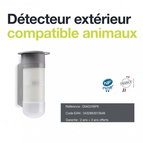 DIAG31BPX détecteur de mouvement extérieur